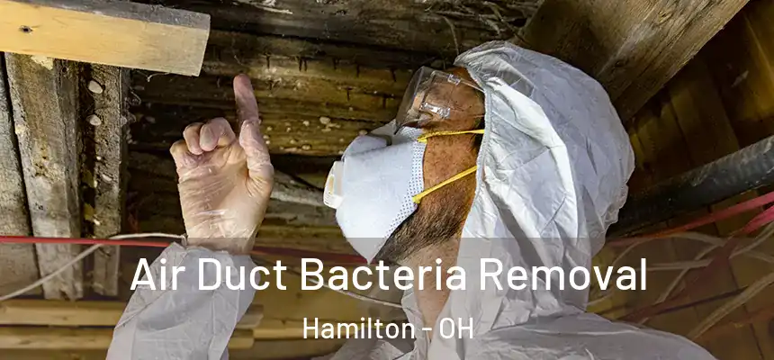  Air Duct Bacteria Removal Hamilton - OH