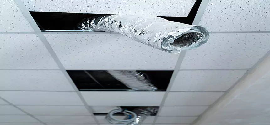 Our Air Duct Pet Hair Removal Services in Hamilton, OH