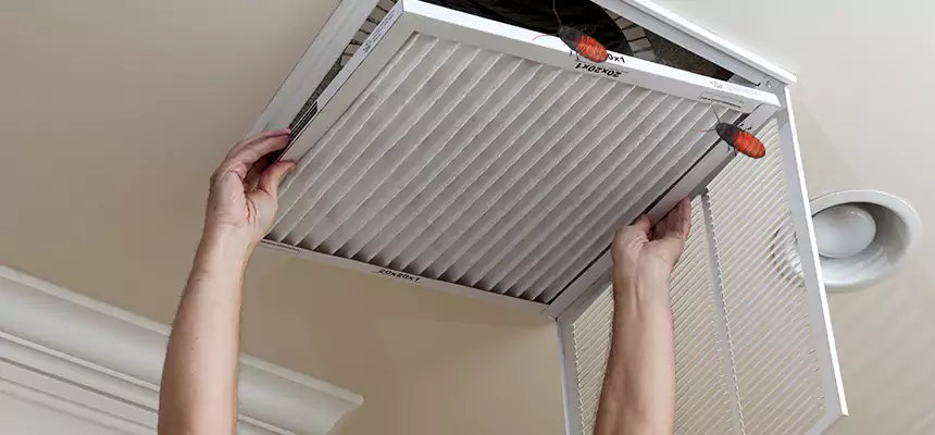 Our Insect Removal from Air Ducts Services in Hamilton, OH