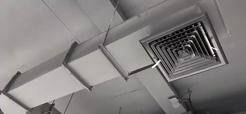 Our Pest Removal From Ducts Services in Hamilton, OH