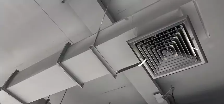 Our Rodent Droppings In Vents Services in Hamilton, OH