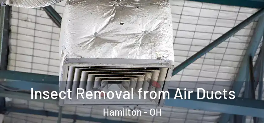  Insect Removal from Air Ducts Hamilton - OH