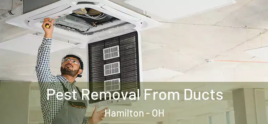  Pest Removal From Ducts Hamilton - OH