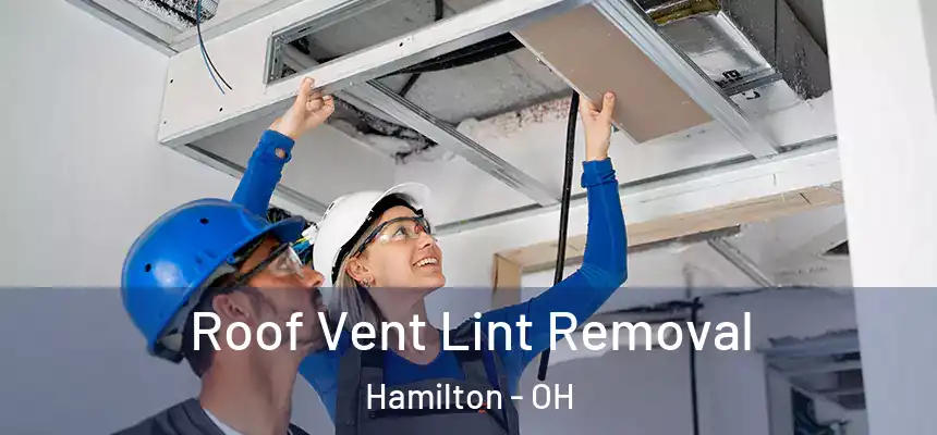  Roof Vent Lint Removal Hamilton - OH