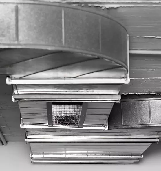 Professional Air Duct Pest Removal in Hamilton, OH