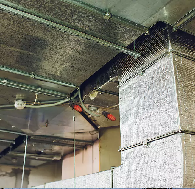 Why Homeowners & Businesses Trust Us in Hamilton, OH?